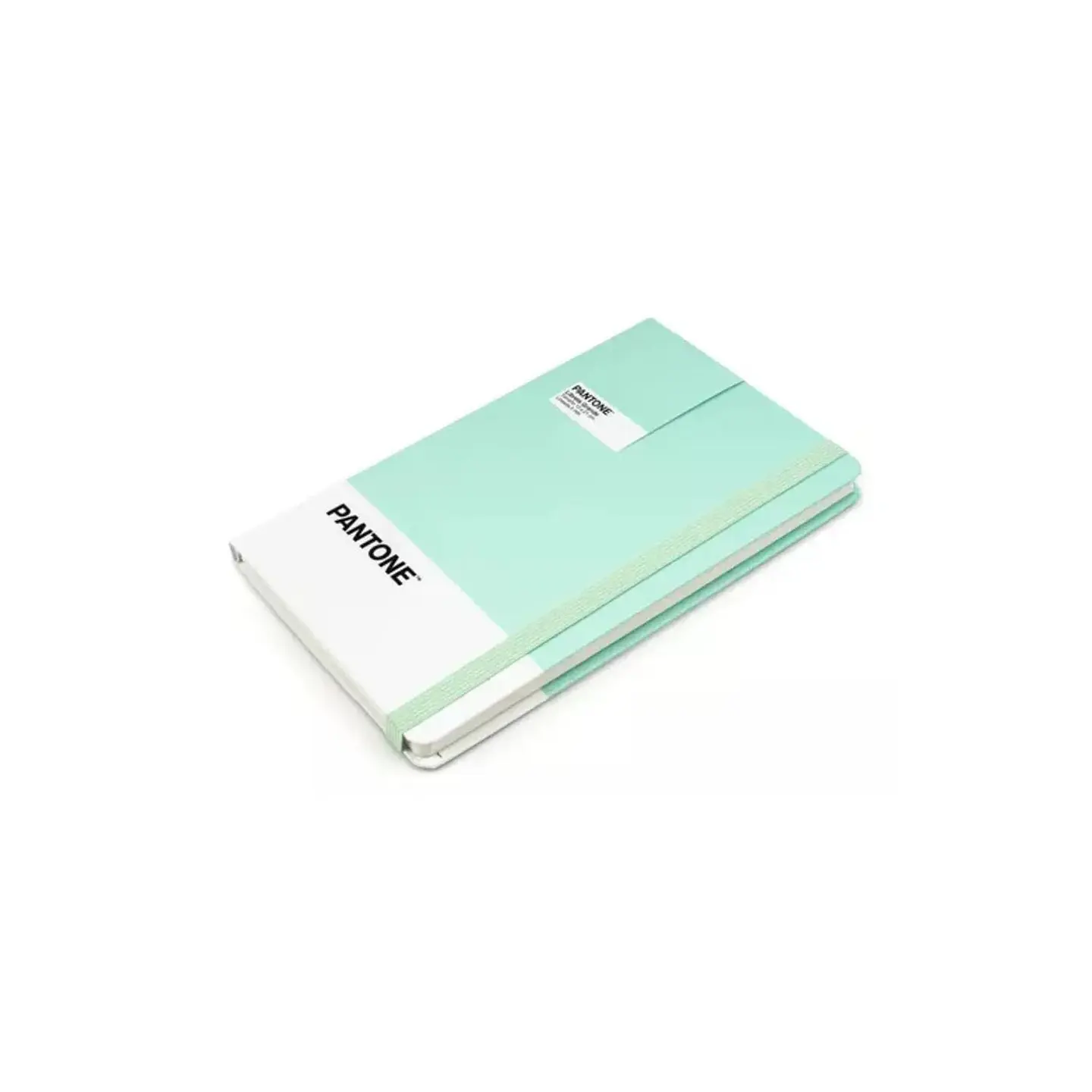 Libreta Grande 21x13cm Con Elastico. Pantone 3