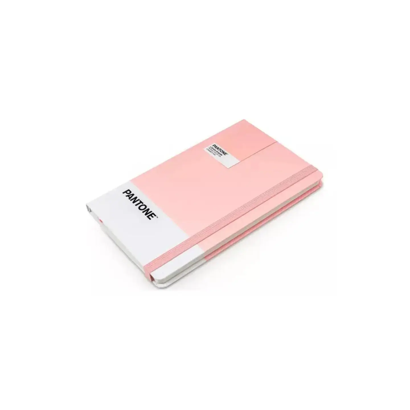 Libreta Grande 21x13cm Con Elastico. Pantone 5