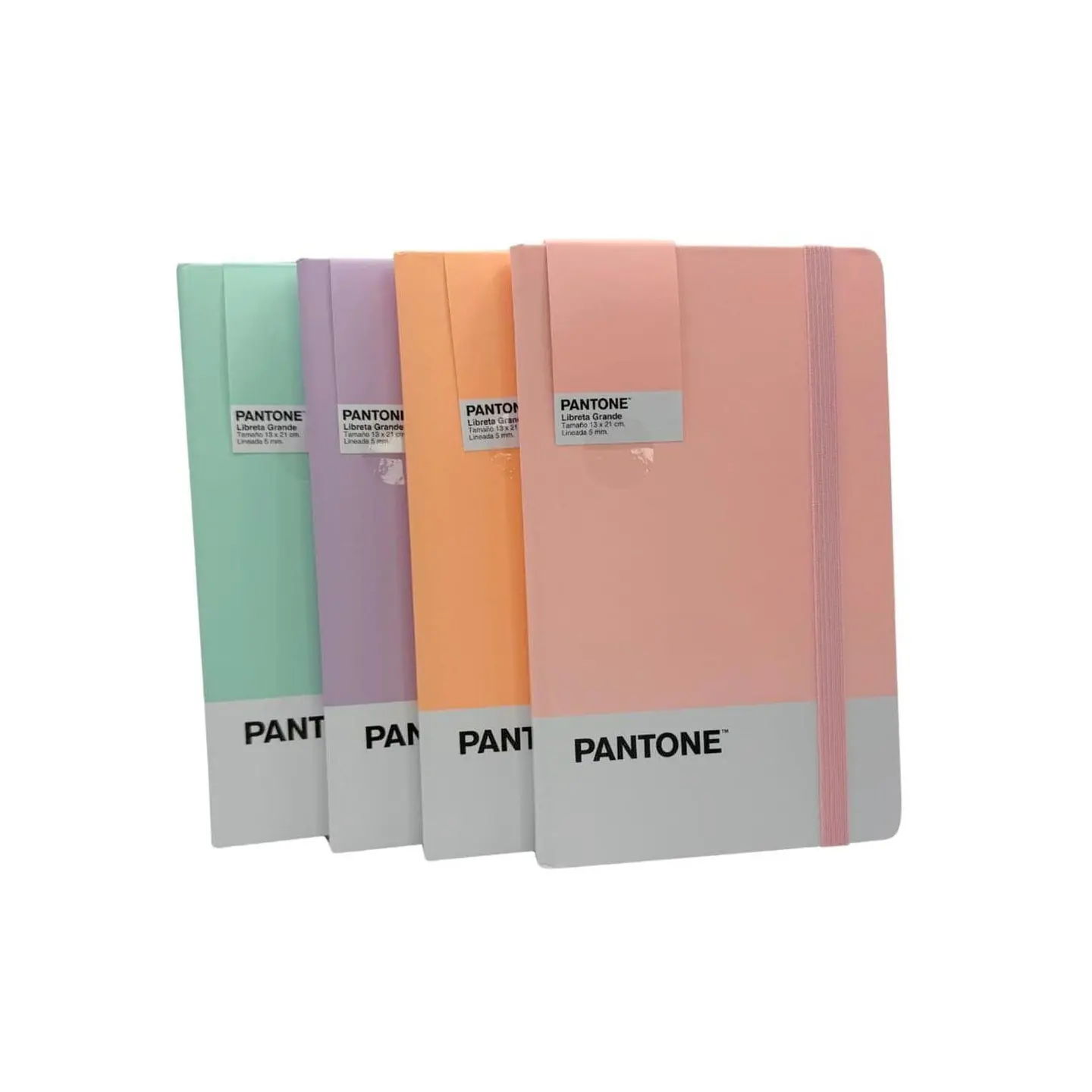 Libreta Grande 21x13cm Con Elastico. Pantone 12