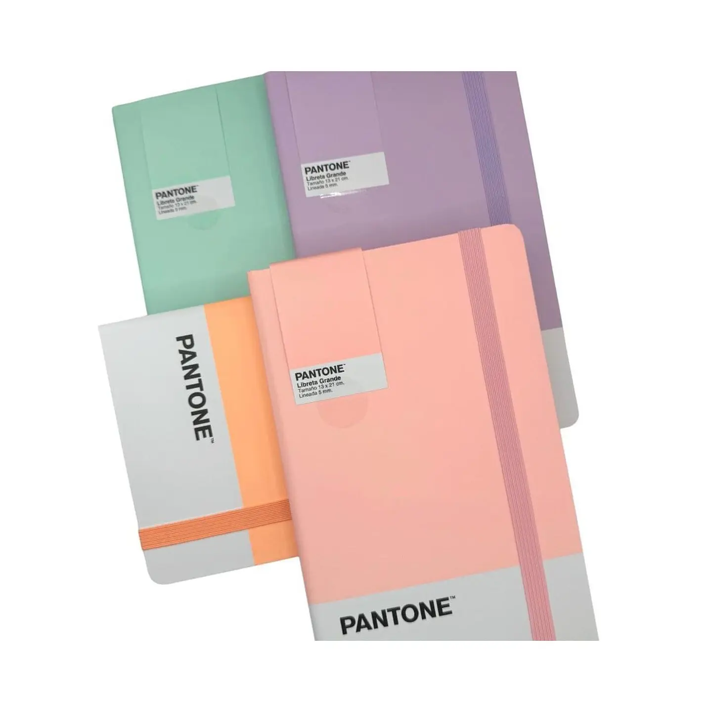 Libreta Grande 21x13cm Con Elastico. Pantone 13