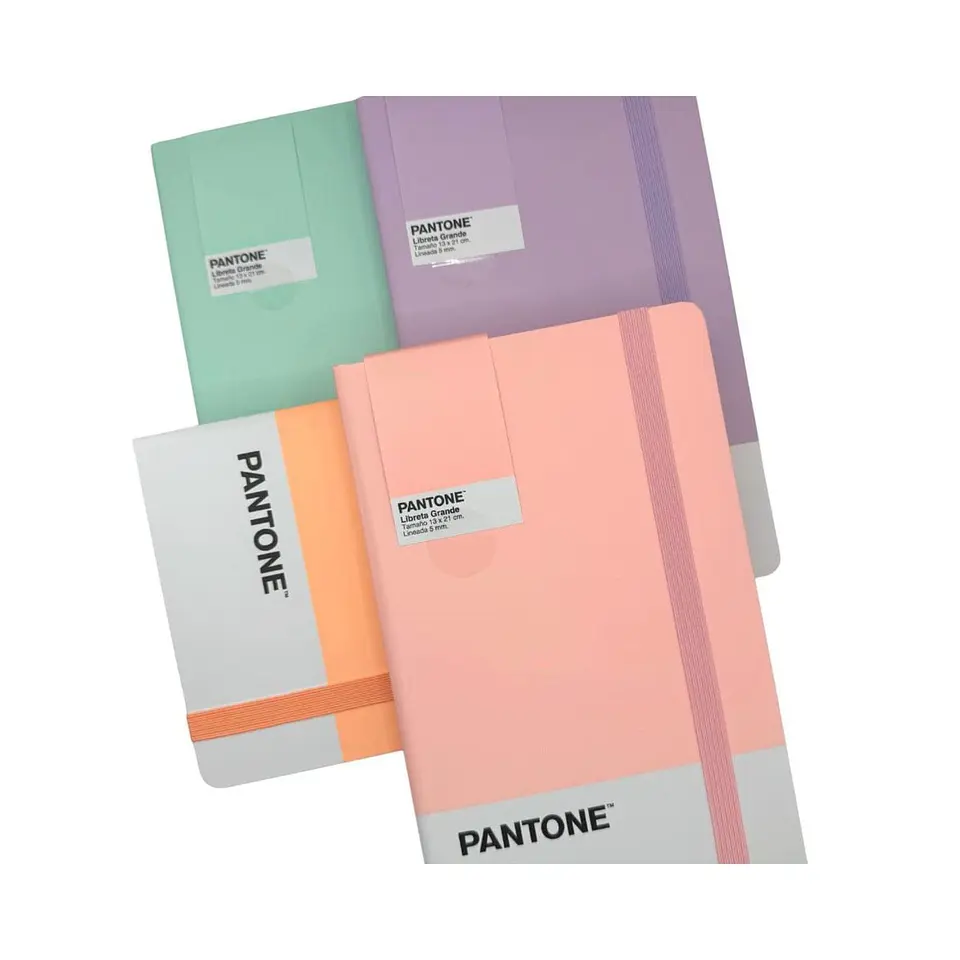Libreta Grande 21x13cm Con Elastico. Pantone 13