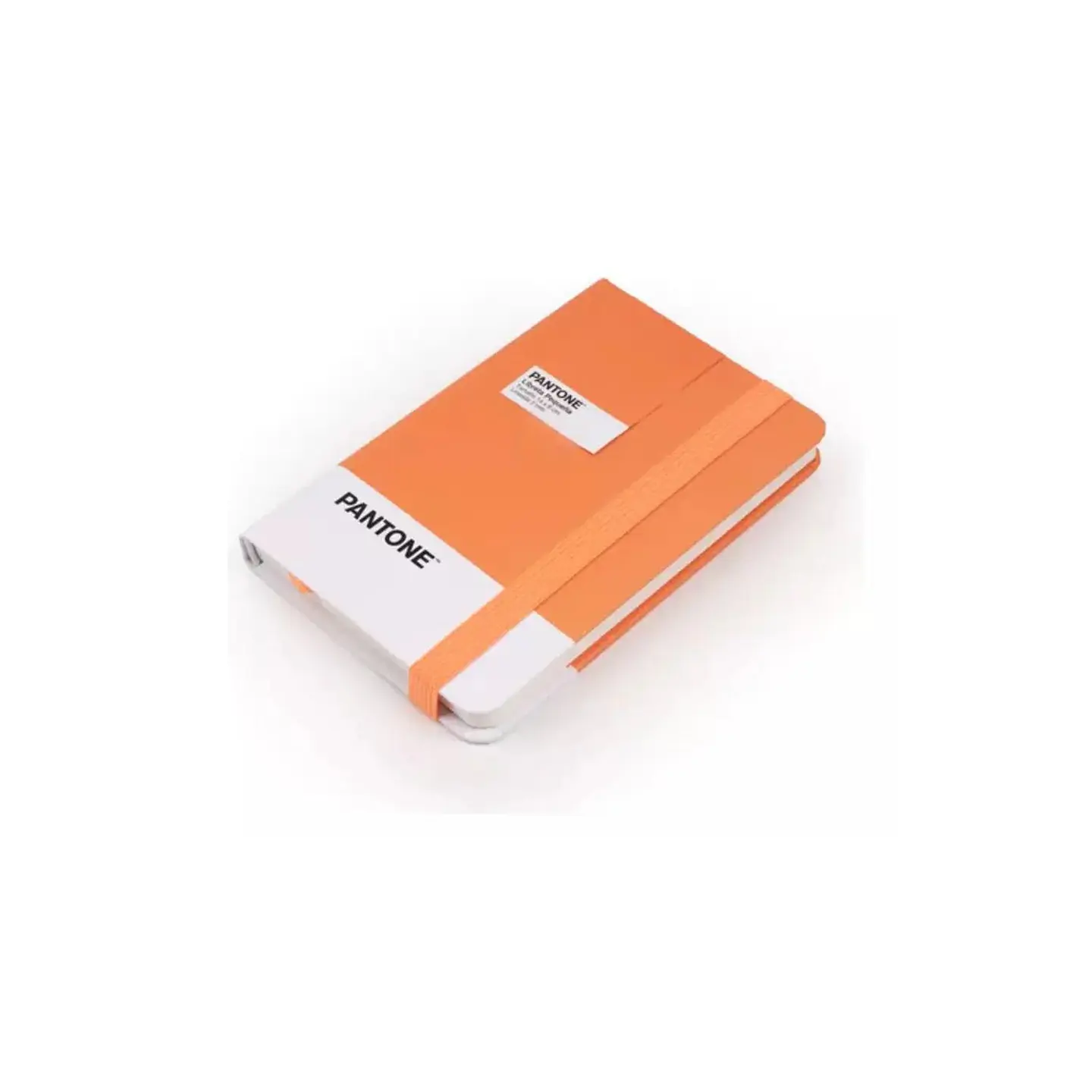 Libreta Pequeña 14x9cm Con Elastico. Pantone 10