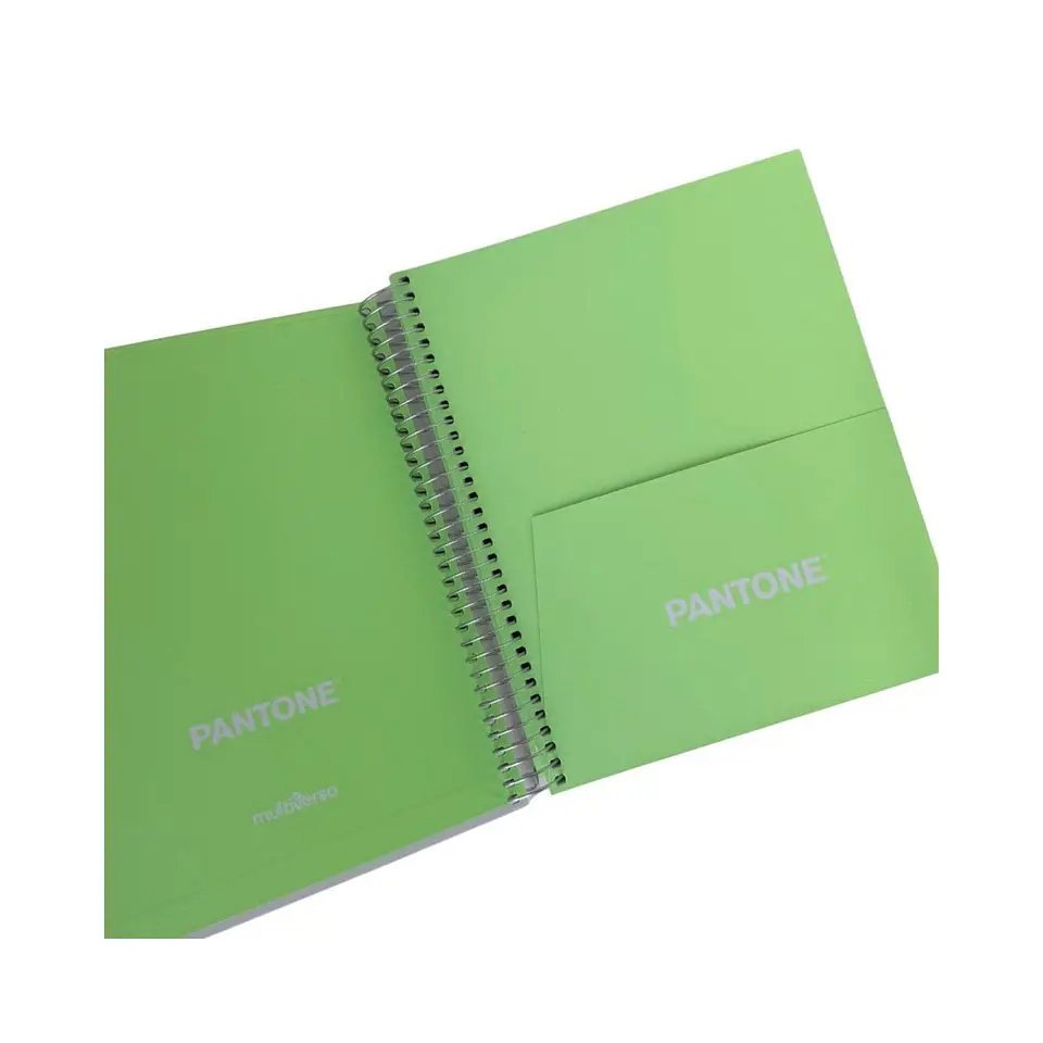 Cuaderno Medio Oficio (17x21,2cm) 150 Hojas. Pantone 17
