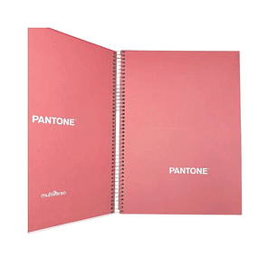 Cuaderno Carta (28x20,5 Cm) 120 Hojas. Pantone