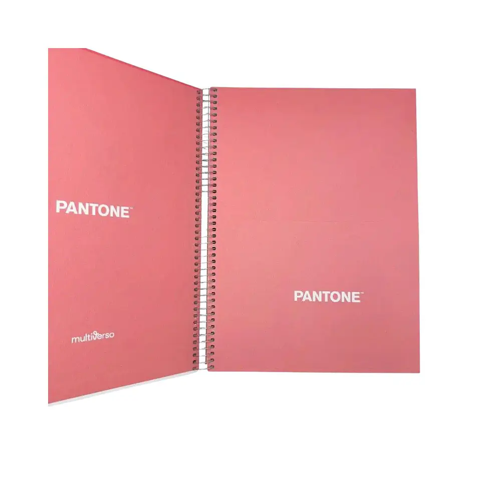 Cuaderno Carta (28x20,5 Cm) 120 Hojas. Pantone 8
