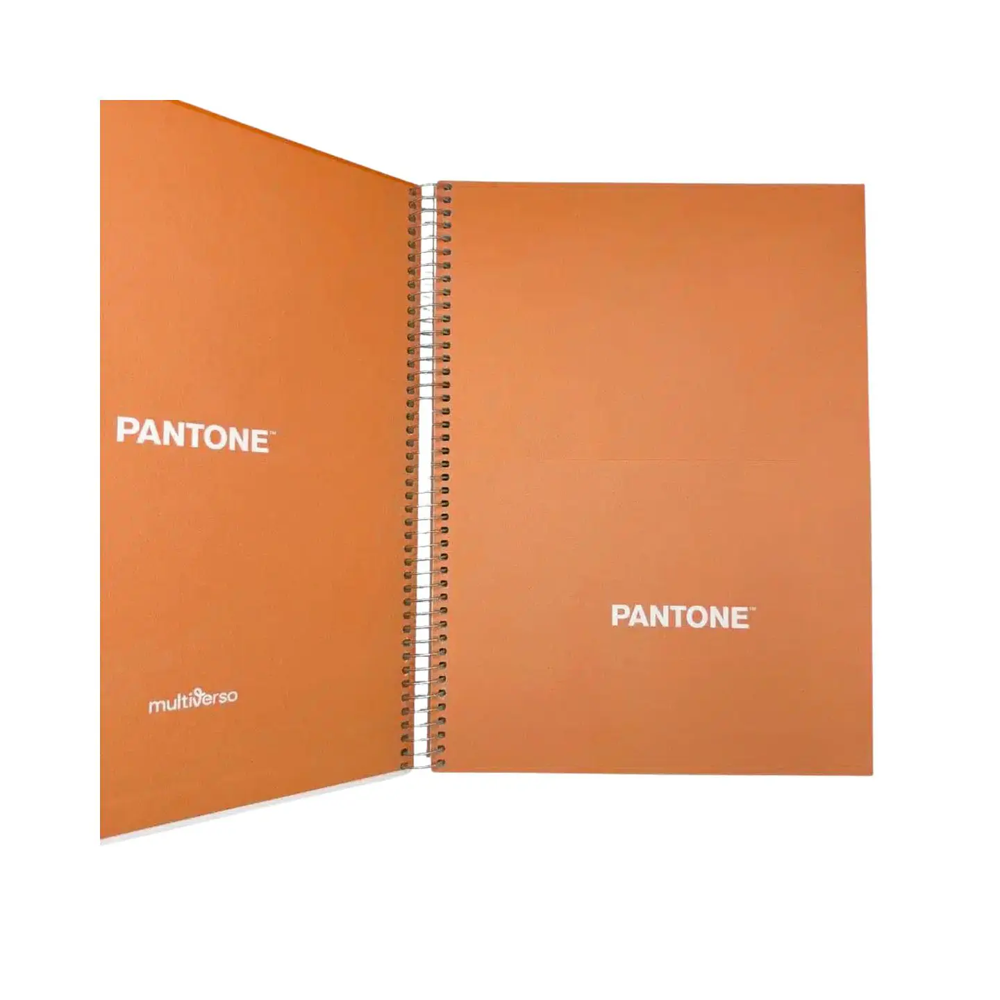 Cuaderno Carta (28x20,5 Cm) 120 Hojas. Pantone 14