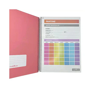 Cuaderno Carta (28x20,5 Cm) 120 Hojas. Pantone
