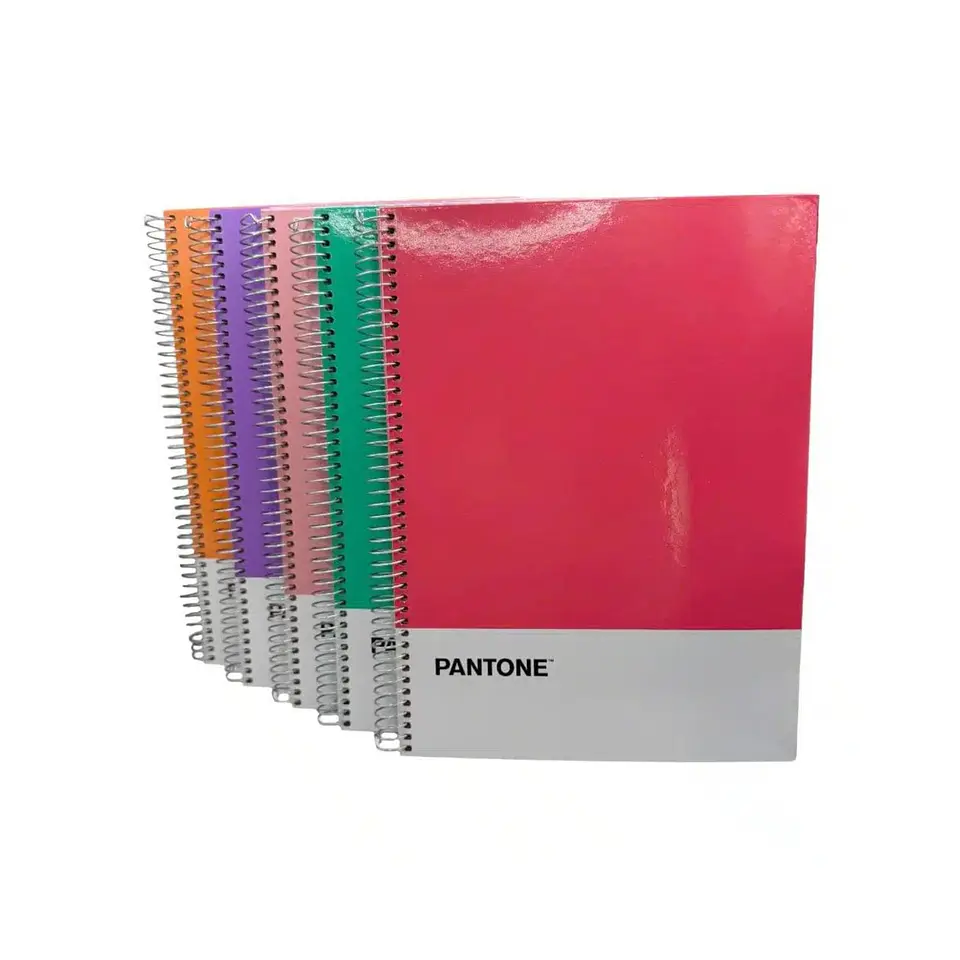 Cuaderno Carta (28x20,5 Cm) 120 Hojas. Pantone 15