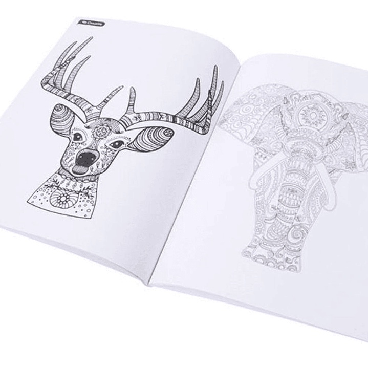 Fineliner Triangular 48 Unid + Libro Mandalas Para Colorear 3