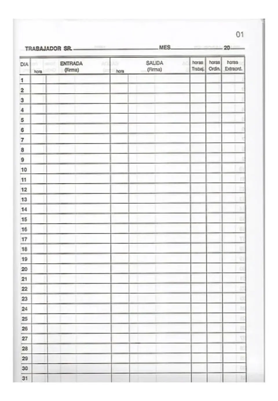 Libro Asistencia 100 Hojas. Auca 2