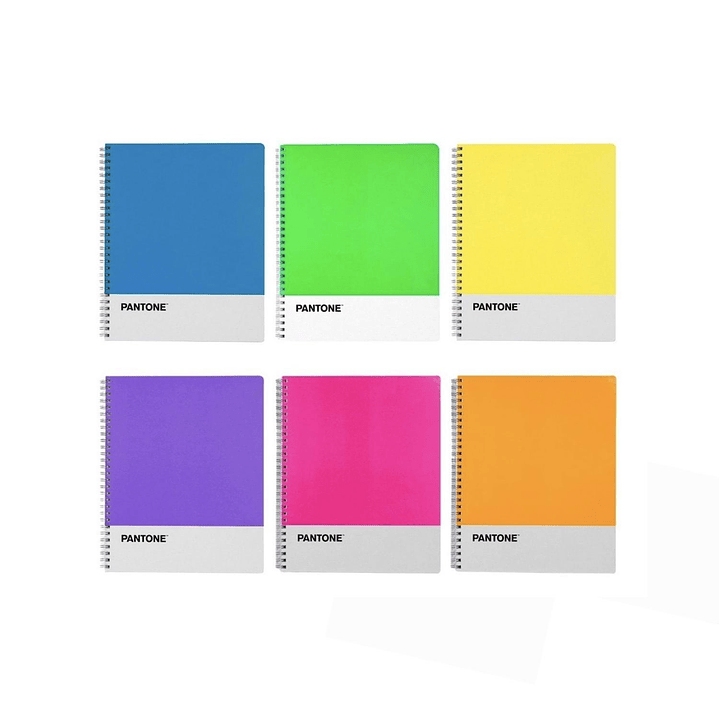 Pack 6 Cuadernos Universitario Colores Fluor 100 Hojas 7mm 1