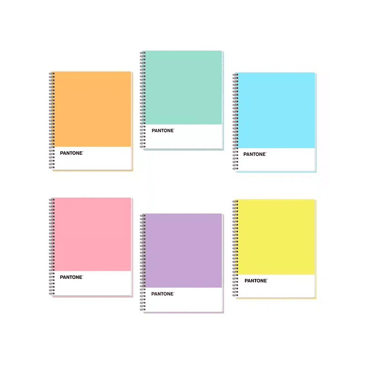 Pack 6 Cuadernos Universitario Colores Pastel 100 Hojas 7mm 2