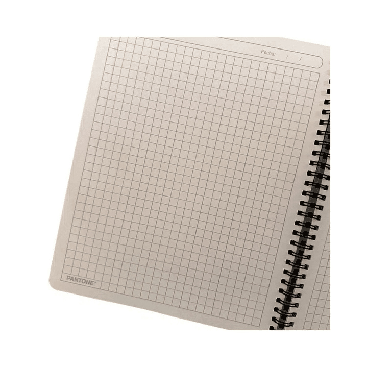 Pack 6 Cuadernos Universitario Colores Pastel 100 Hojas 7mm 4