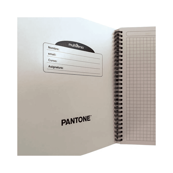 Pack 6 Cuadernos Universitario Colores Pastel 100 Hojas 7mm 5