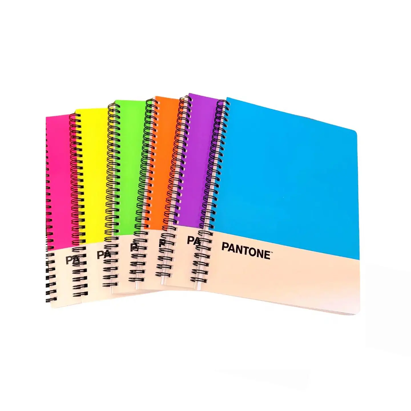Pack 6 Cuadernos Universitario Colores Fluor 100 Hojas 7mm 3