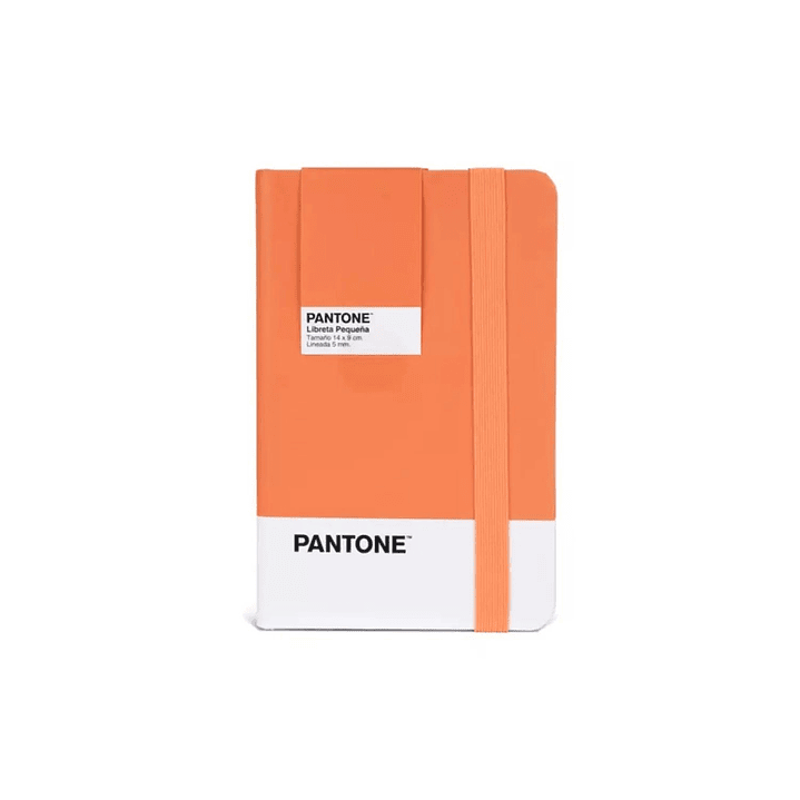 Libreta Pequeña 14x9cm Con Elastico. Pantone 9