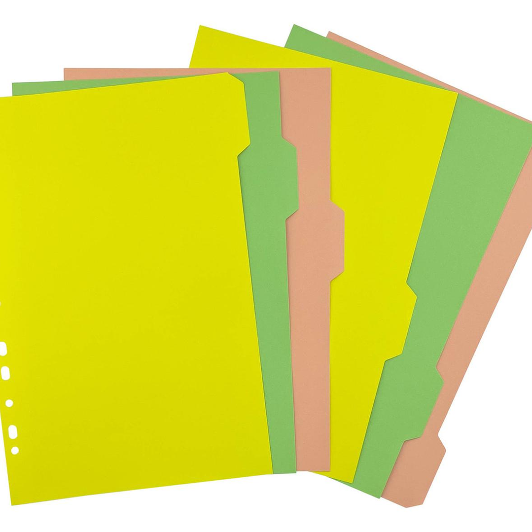 Separadores Cartulina 10 Divisiones Tamaño Oficio. Torre 3