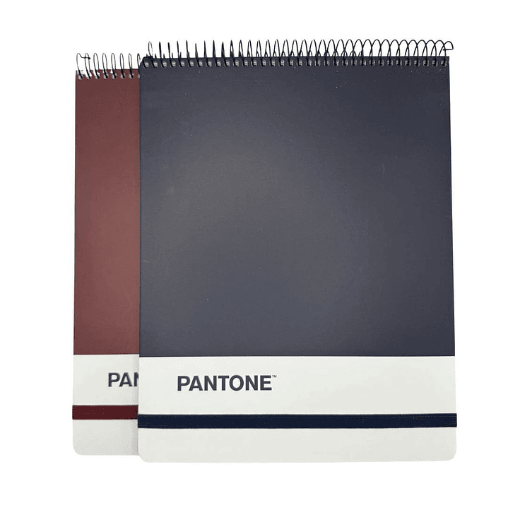 Croquera Pantone Carta Cierre Con Elástico 100 Hojas 80g/m2 15