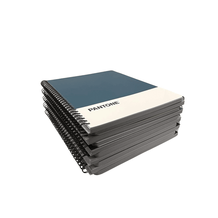 Pack 5 Cuadernos Universitario Nature Color 100 Hojas 7mm 3