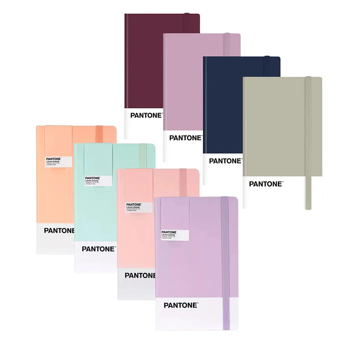 Libreta Grande 21x13cm Con Elastico. Pantone 23