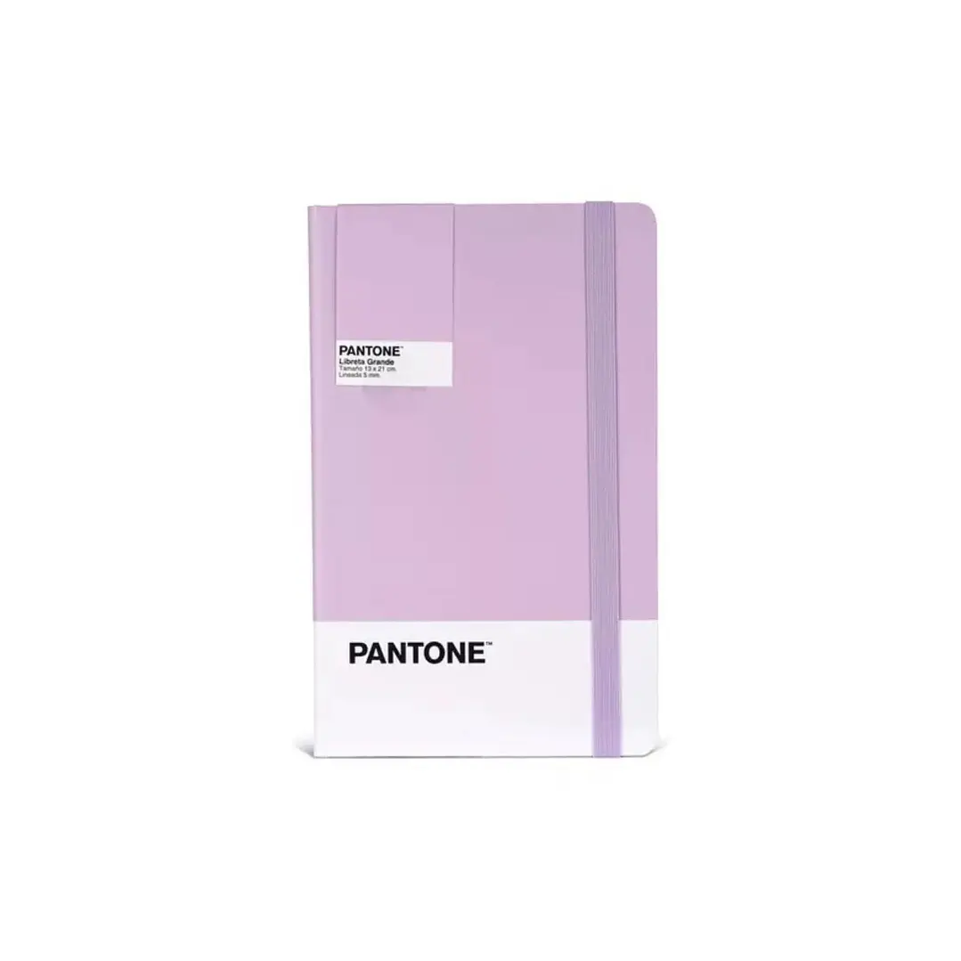 Libreta Grande 21x13cm Con Elastico. Pantone 6