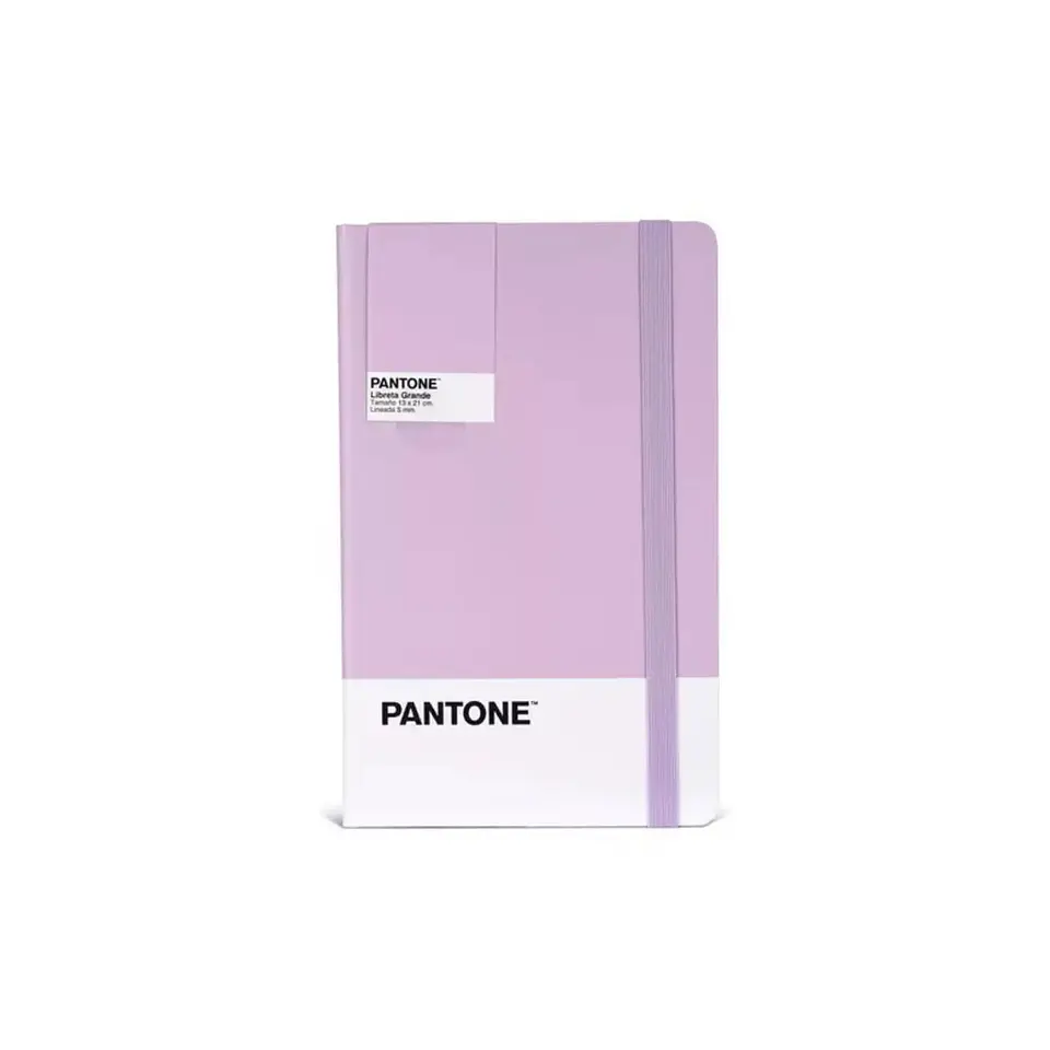 Libreta Grande 21x13cm Con Elastico. Pantone 6