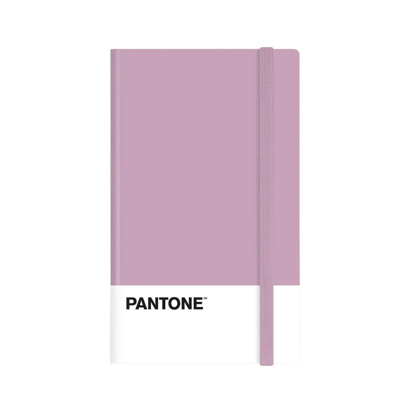 Libreta Grande 21x13cm Con Elastico. Pantone 15