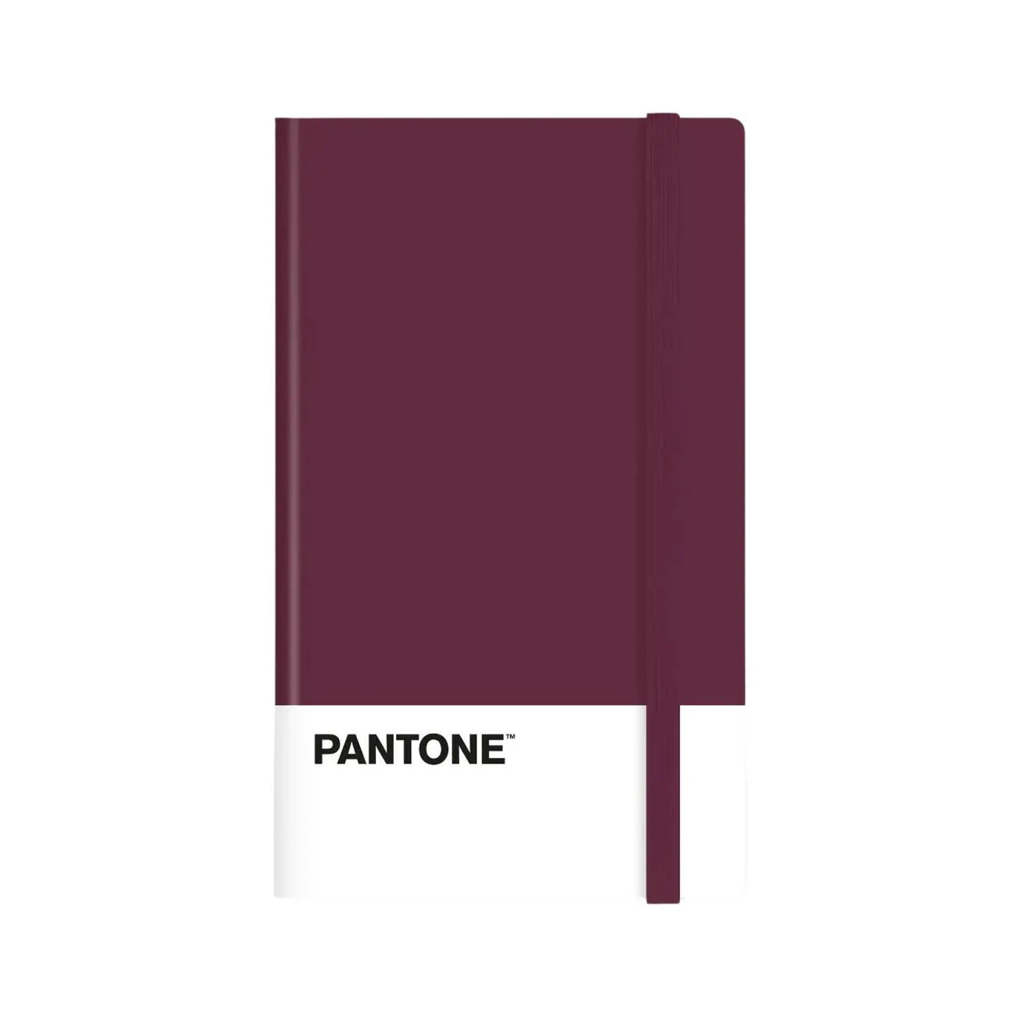 Libreta Grande 21x13cm Con Elastico. Pantone 16
