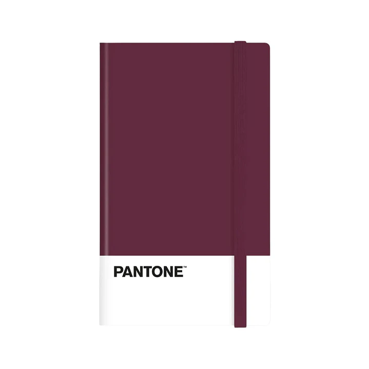 Libreta Grande 21x13cm Con Elastico. Pantone 16