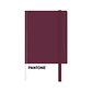 Libreta Grande 21x13cm Con Elastico. Pantone - Miniatura 16