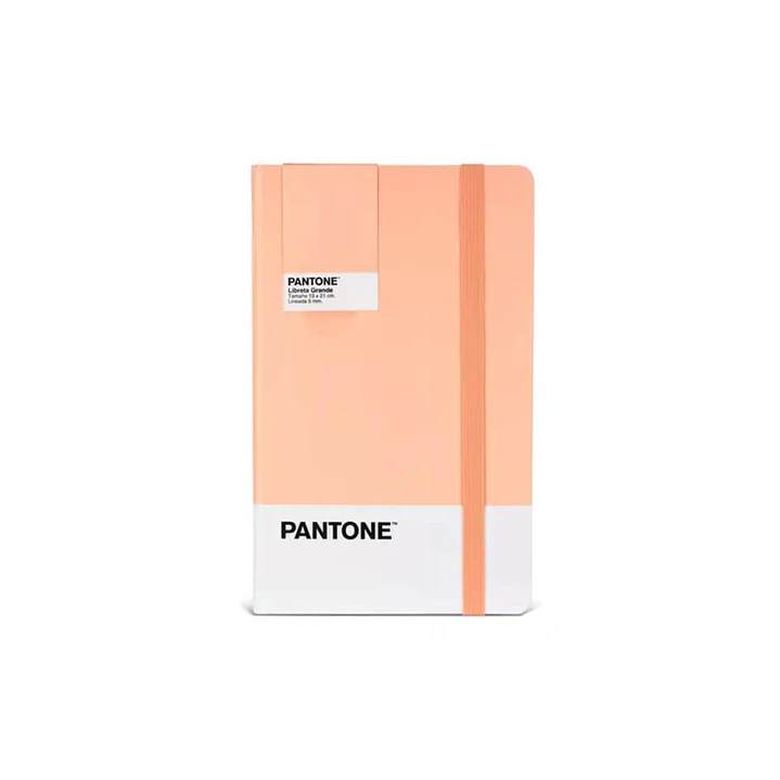 Libreta Grande 21x13cm Con Elastico. Pantone 1