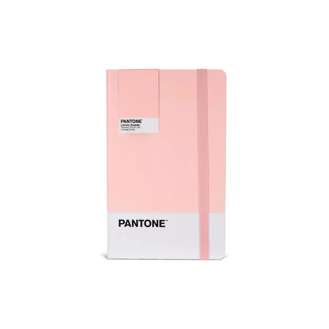 Libreta Grande 21x13cm Con Elastico. Pantone 4