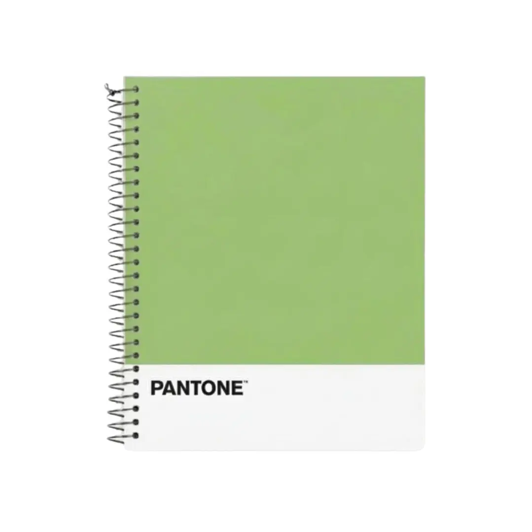 Cuaderno Medio Oficio (17x21,2cm) 150 Hojas. Pantone 29
