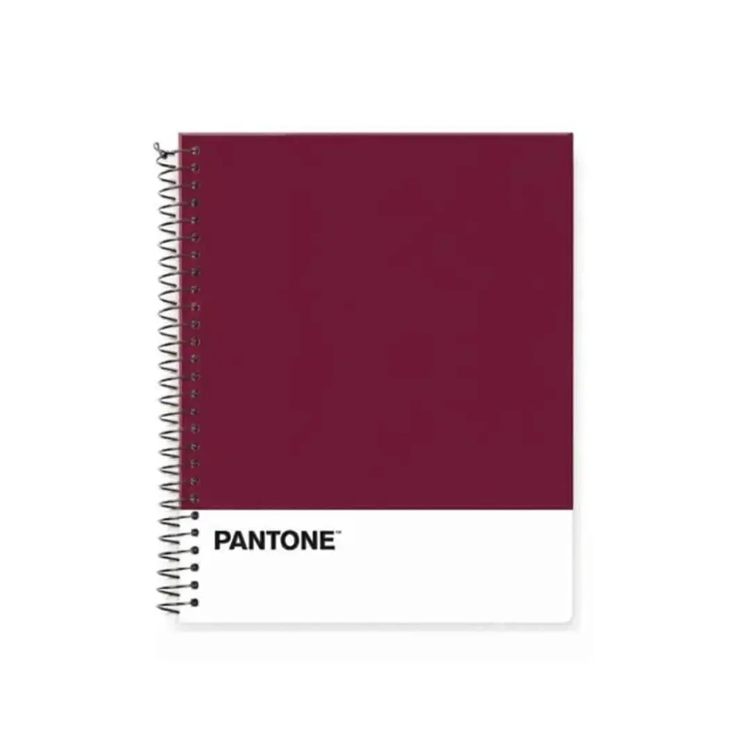 Cuaderno Medio Oficio (17x21,2cm) 150 Hojas. Pantone 31