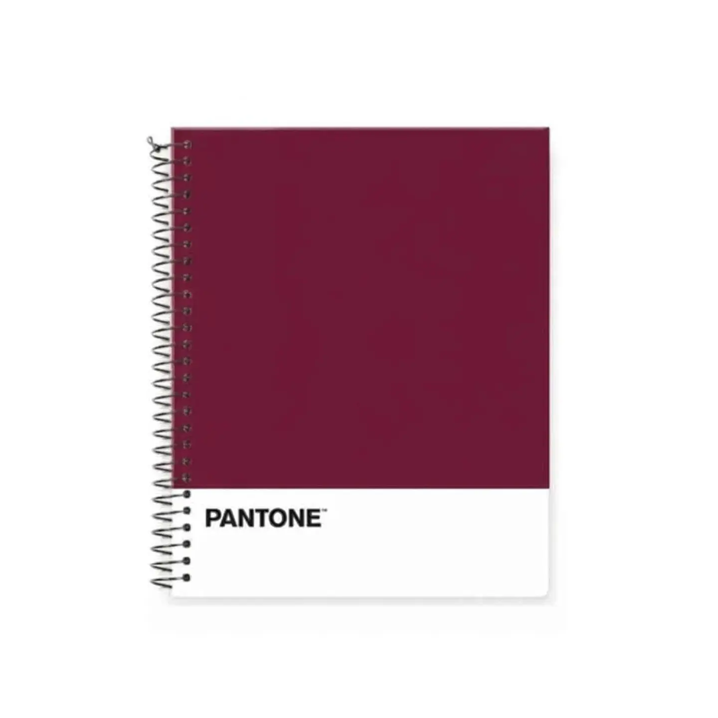 Cuaderno Medio Oficio (17x21,2cm) 150 Hojas. Pantone 31