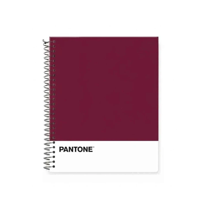Cuaderno Medio Oficio (17x21,2cm) 150 Hojas. Pantone 31