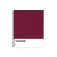 Cuaderno Medio Oficio (17x21,2cm) 150 Hojas. Pantone - Miniatura 31
