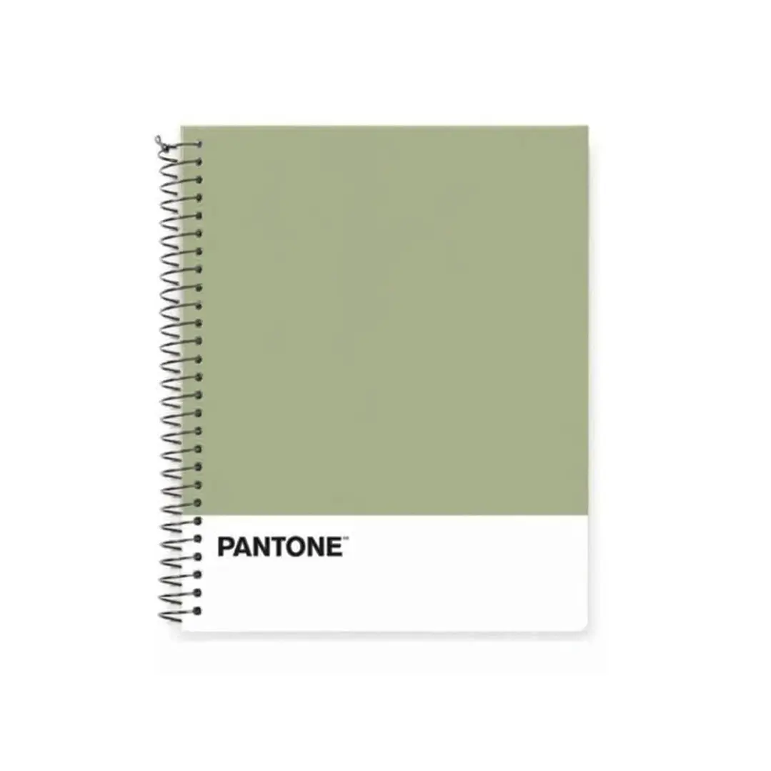 Cuaderno Medio Oficio (17x21,2cm) 150 Hojas. Pantone 33