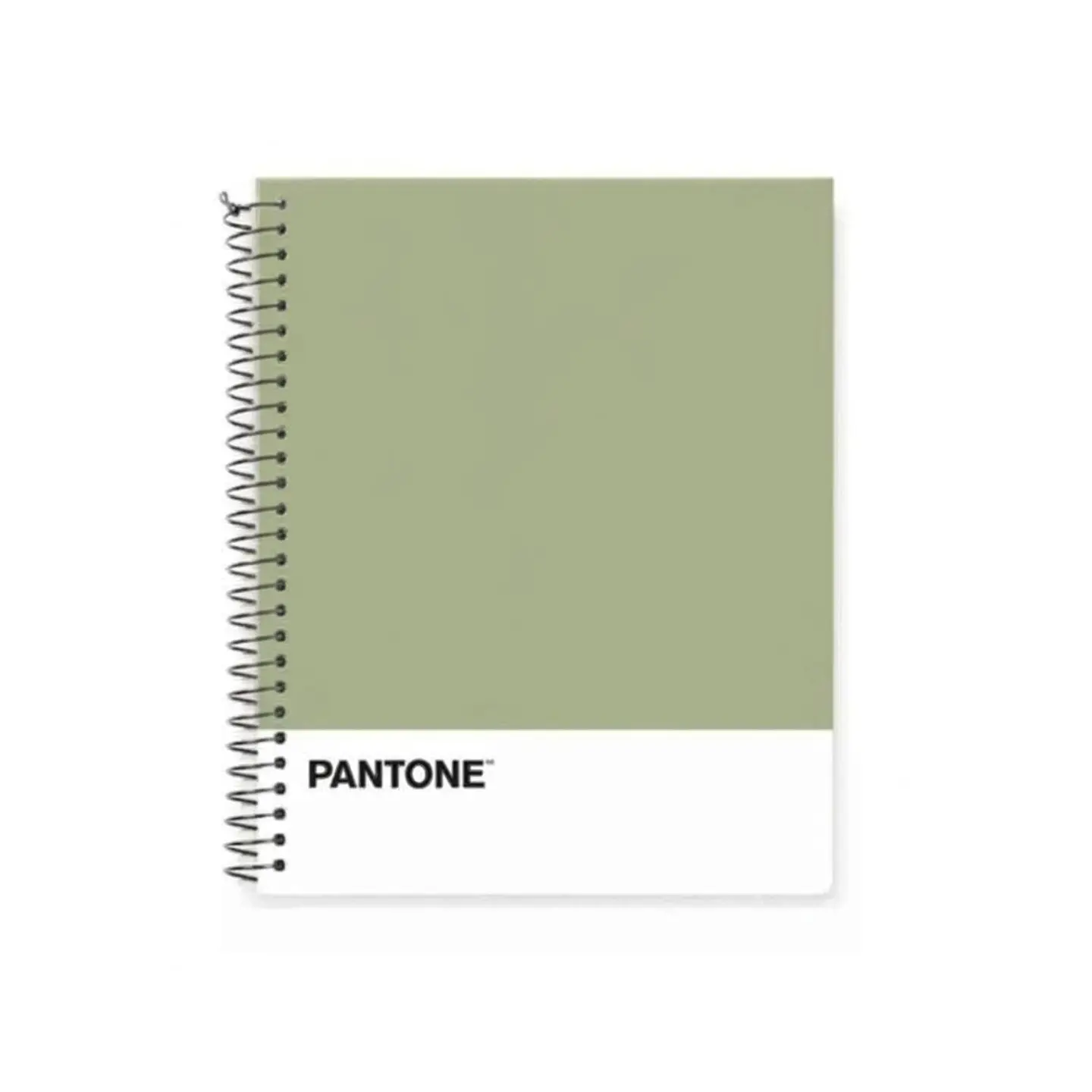Cuaderno Medio Oficio (17x21,2cm) 150 Hojas. Pantone 33