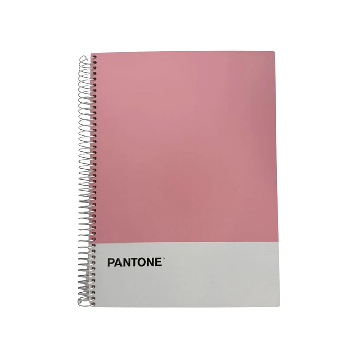 Cuaderno Carta (28x20,5 Cm) 120 Hojas. Pantone 9