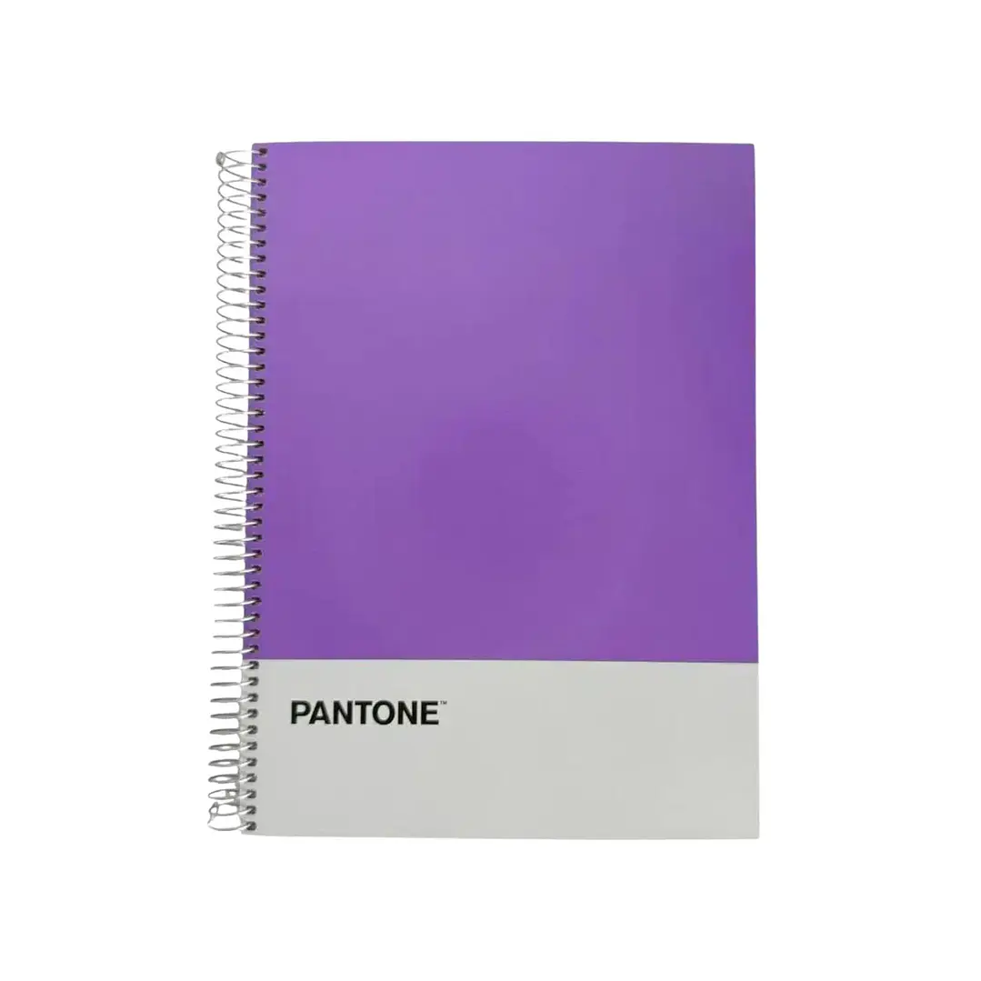 Cuaderno Carta (28x20,5 Cm) 120 Hojas. Pantone 11