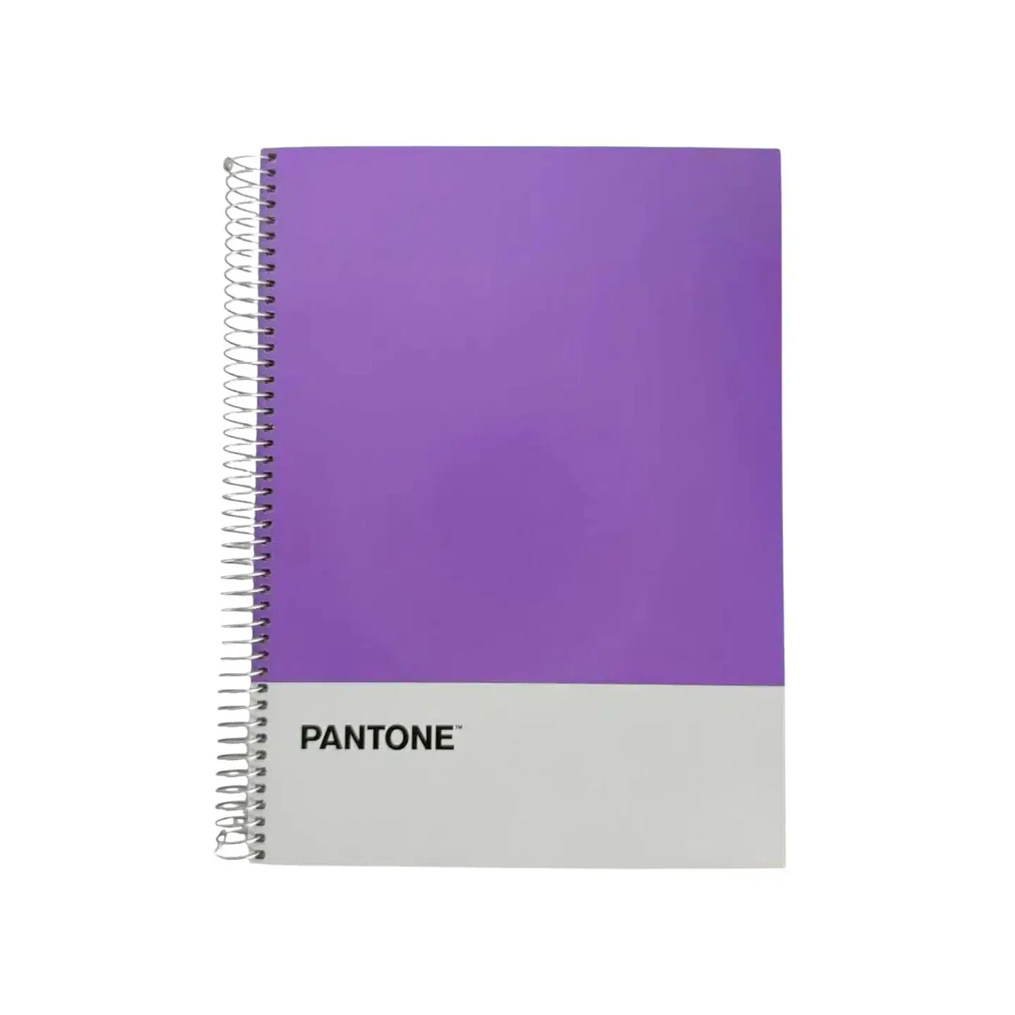 Cuaderno Carta (28x20,5 Cm) 120 Hojas. Pantone 11