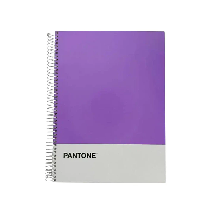 Cuaderno Carta (28x20,5 Cm) 120 Hojas. Pantone 11