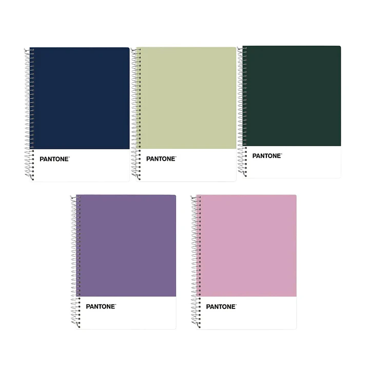 Cuaderno Carta (28x20,5 Cm) 120 Hojas. Pantone 16