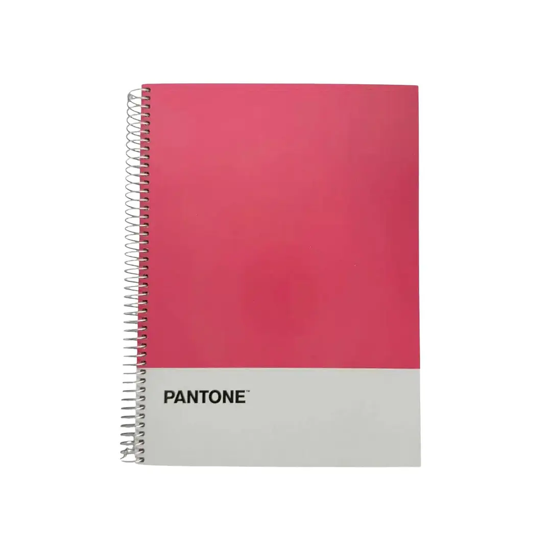 Cuaderno Carta (28x20,5 Cm) 120 Hojas. Pantone 7