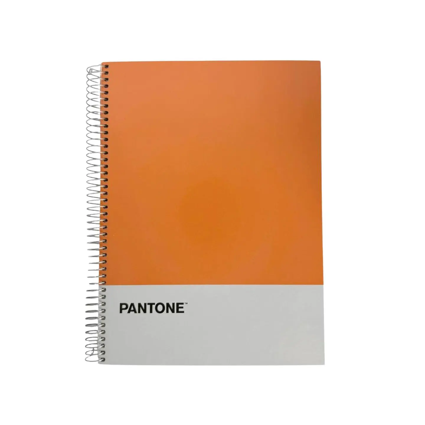 Cuaderno Carta (28x20,5 Cm) 120 Hojas. Pantone 13