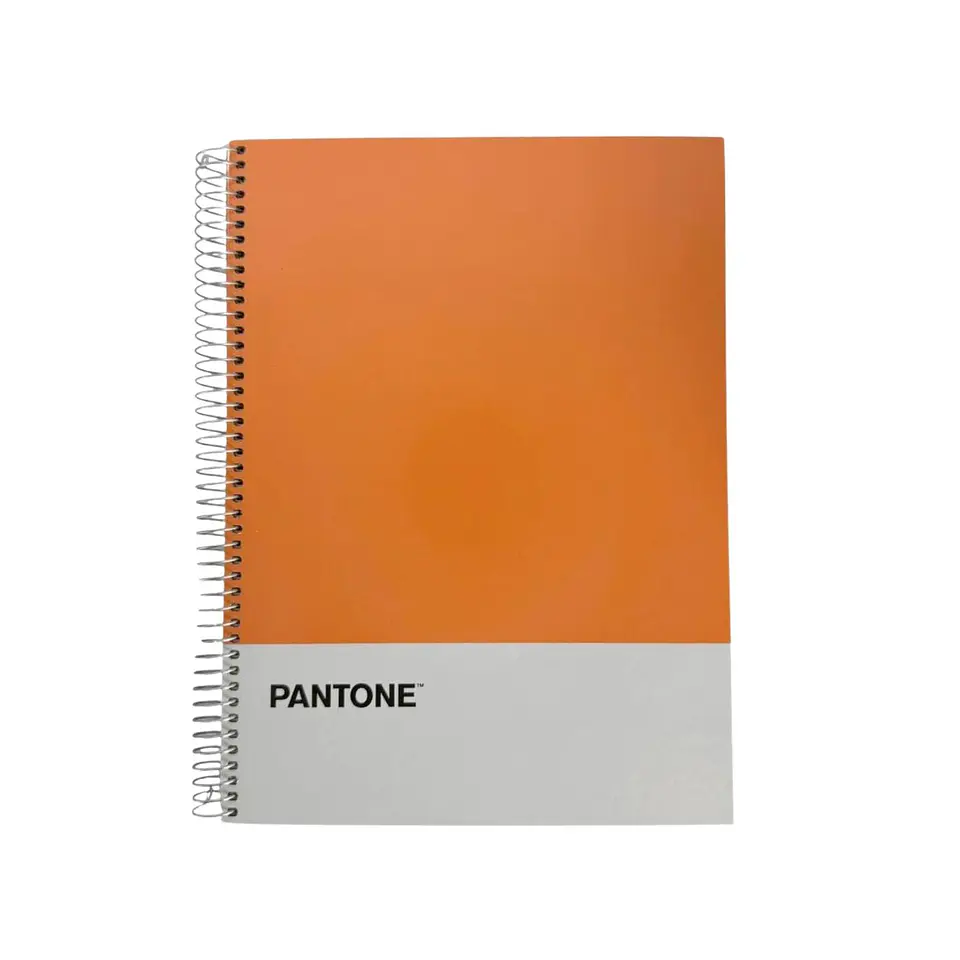 Cuaderno Carta (28x20,5 Cm) 120 Hojas. Pantone 13