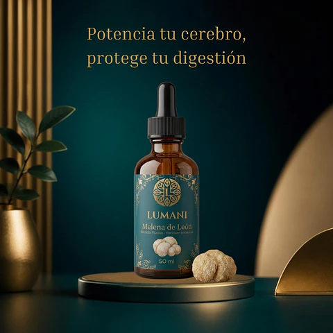 Melena de León 50 ml