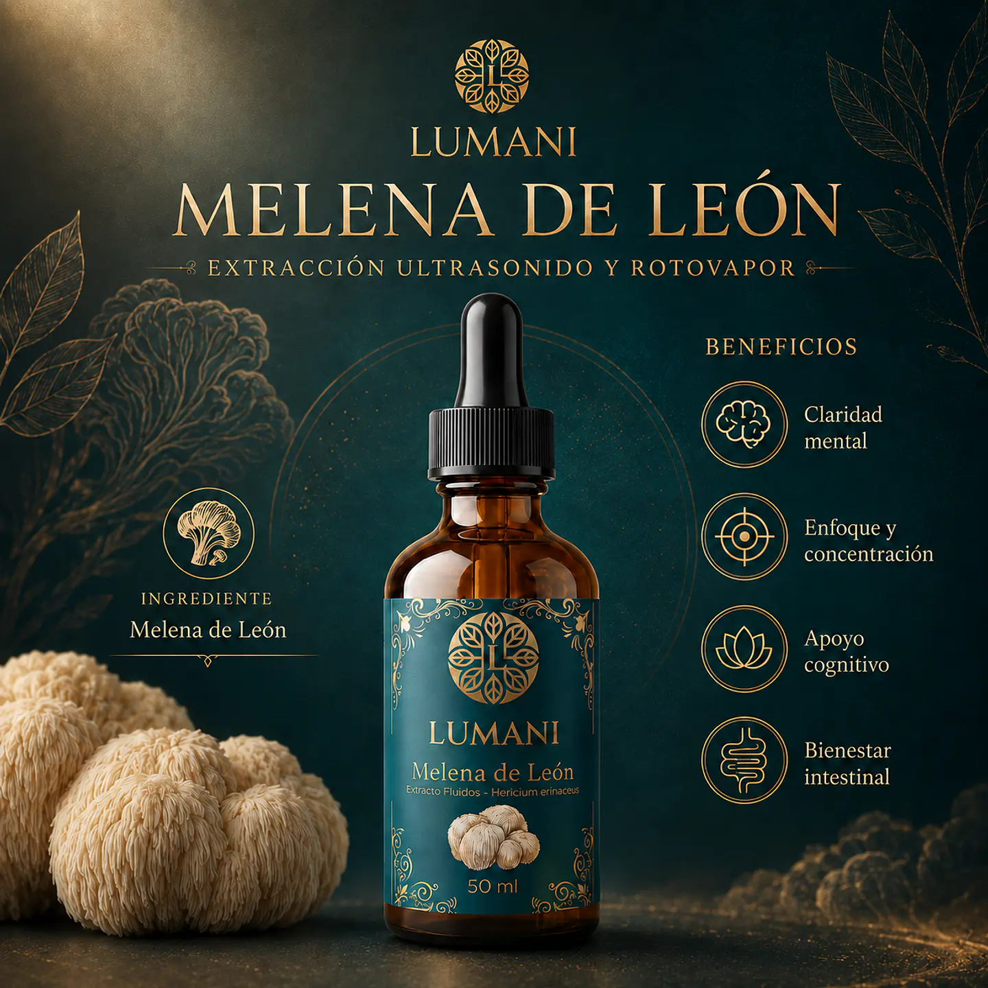 Melena de León 50 ml 2