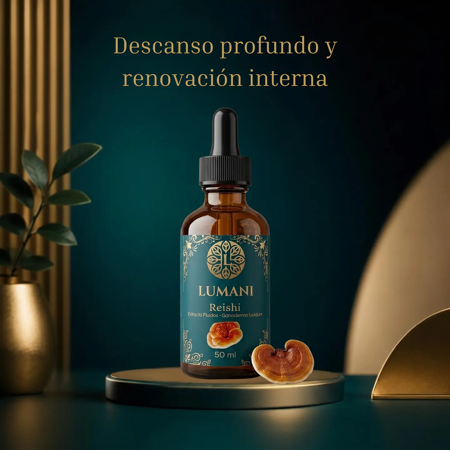 Reishi 50 ml 1